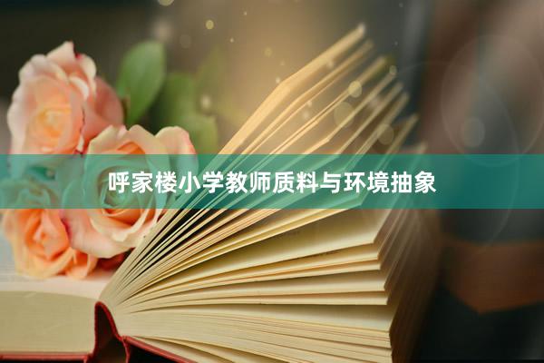 呼家楼小学教师质料与环境抽象